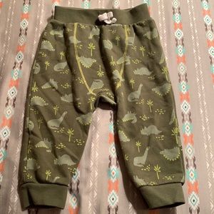 Dinosaur Pants